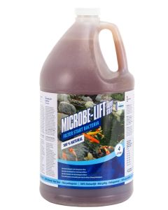 Microbe Lift Super Start Bactéries pour filtre 4L