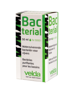 Velda Bacterial bactéries de bassin en poudre lyophilisée 50 ml